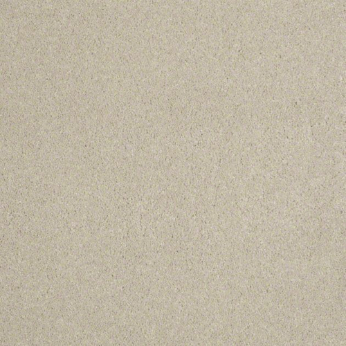 Ковровое покрытие Shaw Floors See the World III 105