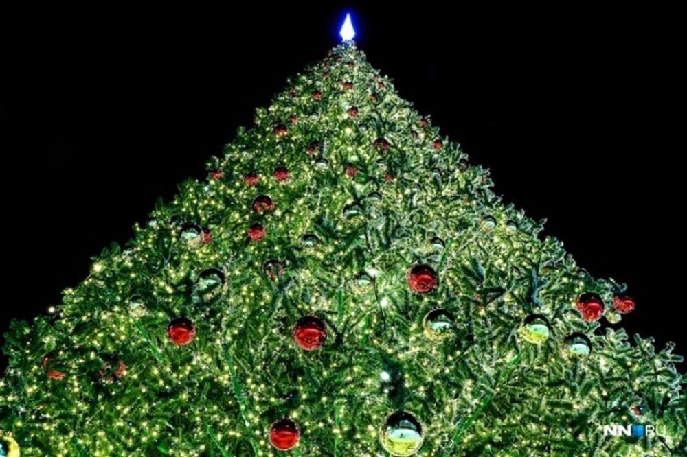 Светодинамическая елка ствольная: с встроенной гирляндой - "Альпийская" 16 м