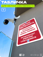 Табличка для частной территории "Частная собственность", на дом, для участка, организаций, предупреждающая, 40х30 см, Silver Plane x Айдентика Технолоджи