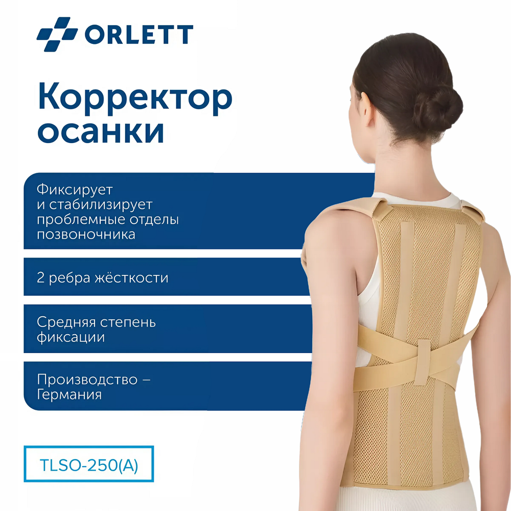 Корректор осанки (корсет) для взрослых ORLETT TLSO-250(A)