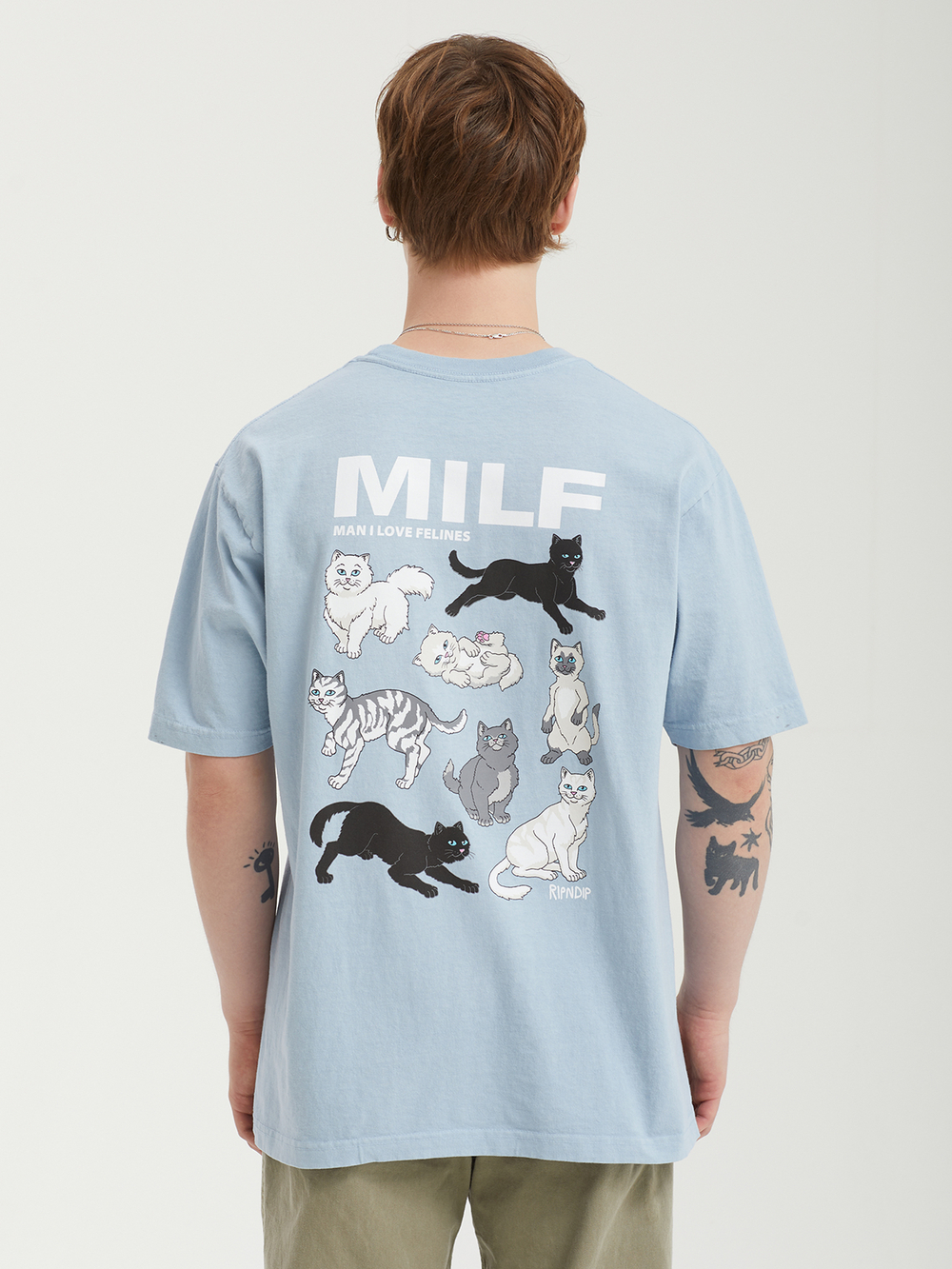 Мужская Футболка Man I Love Felines