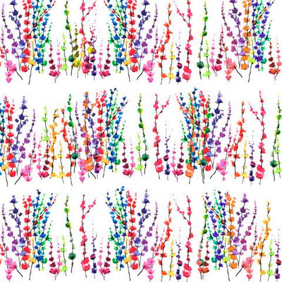 Яркие веточки