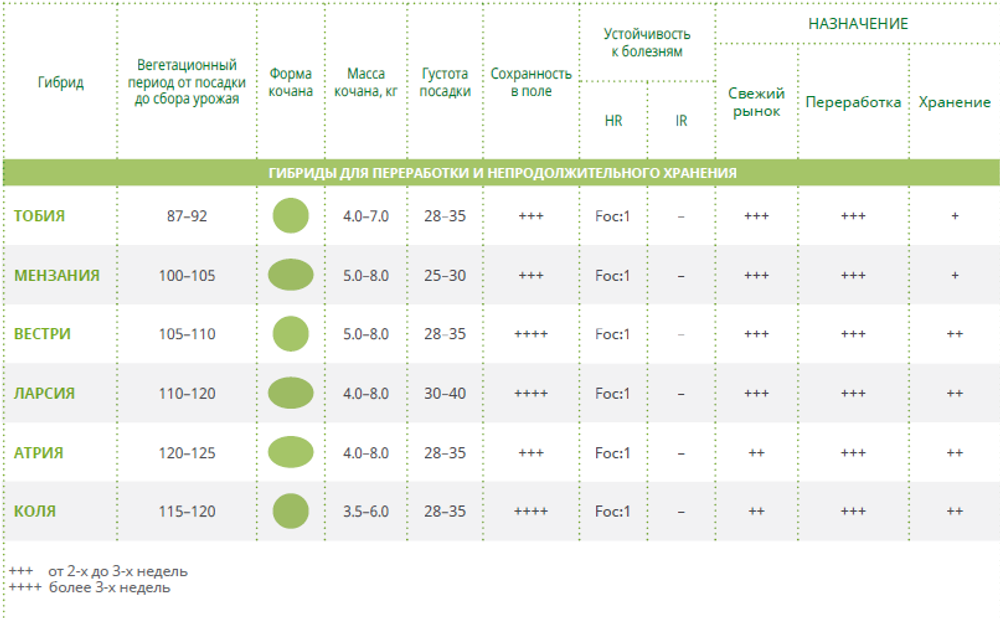 Вестри F1 семена капусты белокочанной (Seminis / Семинис)