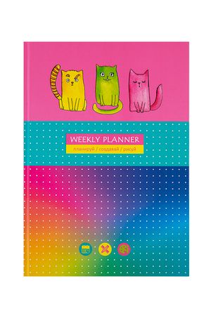 Записная книжка А5 80л. "Яркие коты"