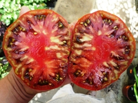 Помидоры Арбузные