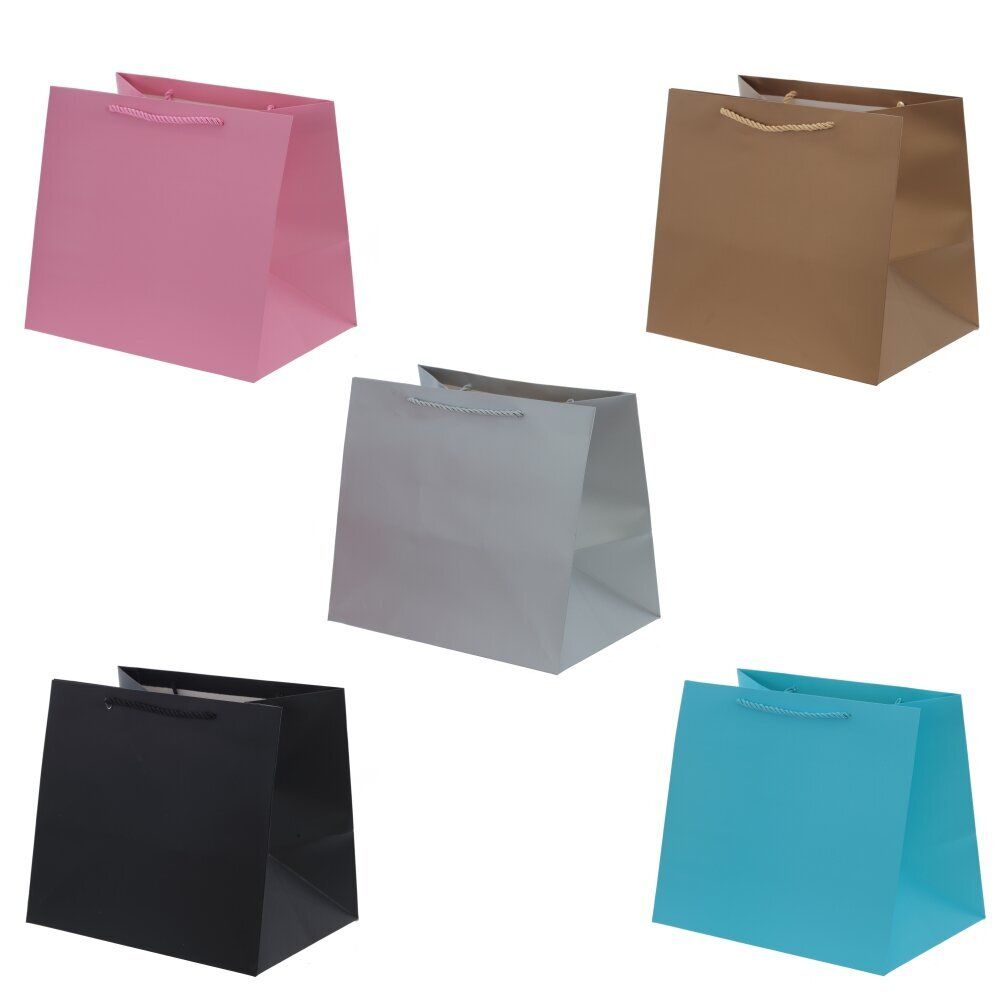 GAEM Пакет подарочный (бумага 230г/м2, блок 12шт), L28 W20 H25 см, 5в.