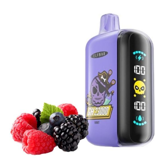 Elf Bar GH23000 - Vimto (5% nic)