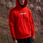 Худи THE NORTH FACE Logo, NF0A4UDK-15Q