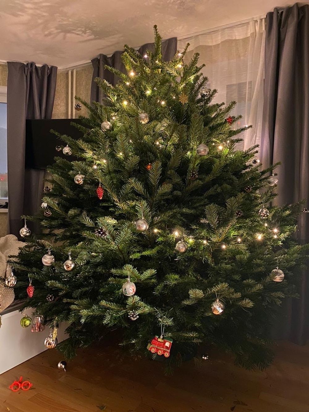 Пихта Нордмана Премиум срезанная