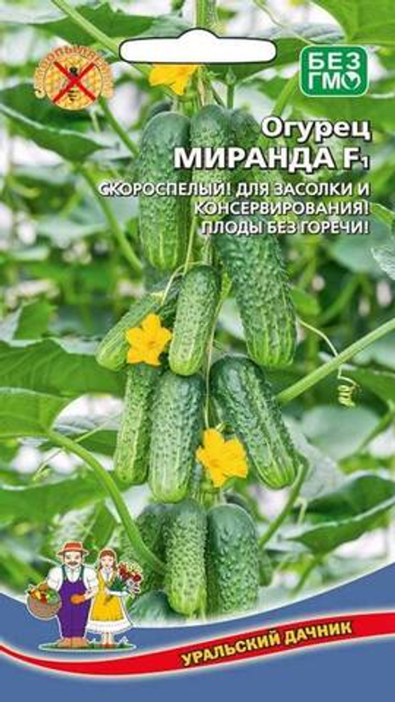 Огурец "G. Миранда F1" 6шт., Россия.