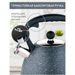 Чайник нерж, 3 л, свист, мат, ручк бакелит, Alpenkok, индукц, AK-534