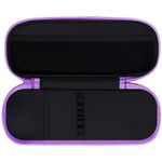 Пенал мягкий 2 отделения, 220*80*50 Berlingo "Working cat", полиэстер, внутр. органайзер