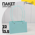 Пакет подарочный 22х13,5х10,5 Ваза для цветов (Голубой)