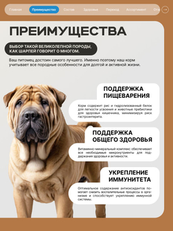 Корм сухой для взрослых собак породы Шарпей, премиум полнорационный комплекс, с лососем, 12 кг, QUATTRO
