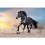 Картина интерьерная без подрамника «ГРОНТЭ», Осман, 50*70см (термоусадочная пленка)