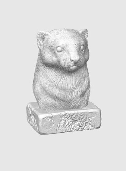 Хорек