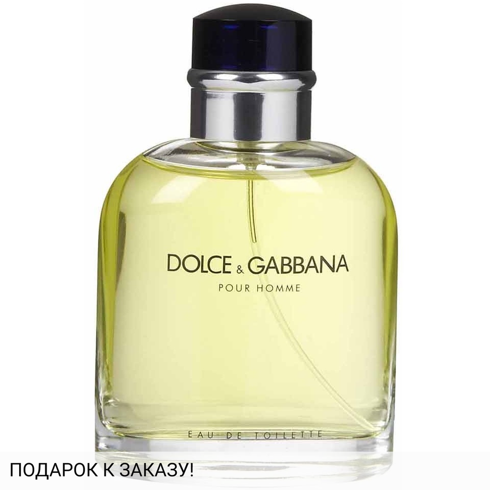 Dolce and Gabbana Pour Homme