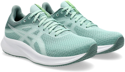 Кроссовки Asics PATRIOT 13 W