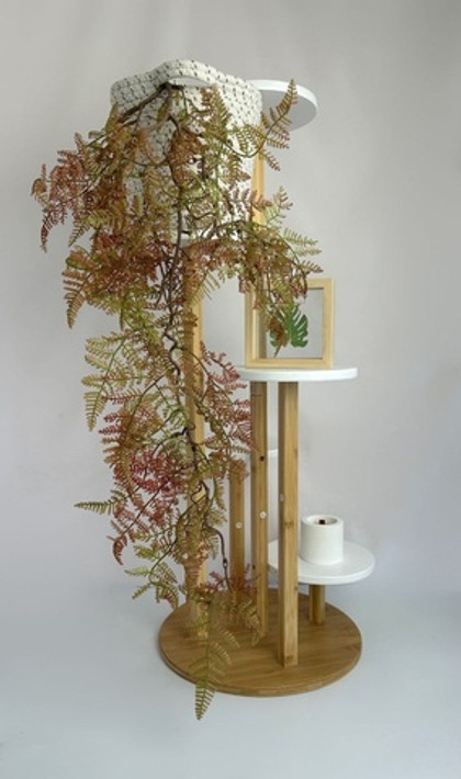 Нефролепсис на одревесневшем стволе август / Арт 4136