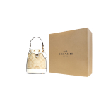 Сумка COACH Dempsey 15, C5121-IMDQC