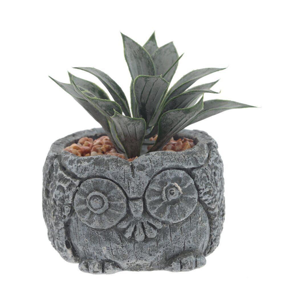 GAEM Цветочная композиция "Суккулент", L11 W11 H12 см