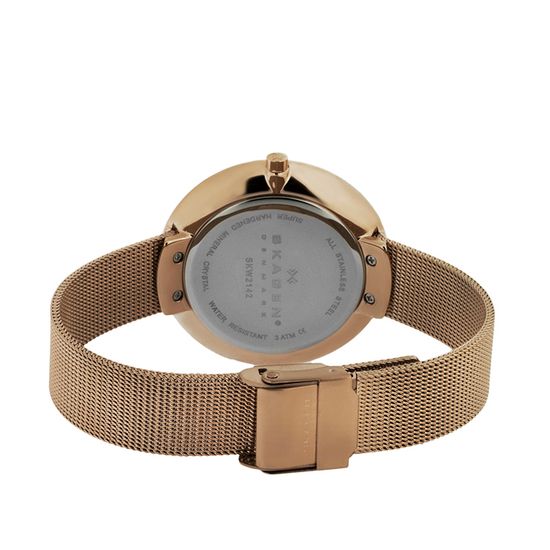 Наручные часы Skagen SKW2142