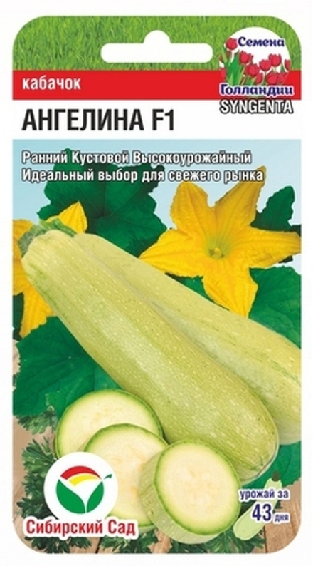 Кабачок Ангелина 3шт Syngenta/Сибсад