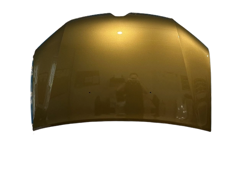 Капот Рено Сандеро F90