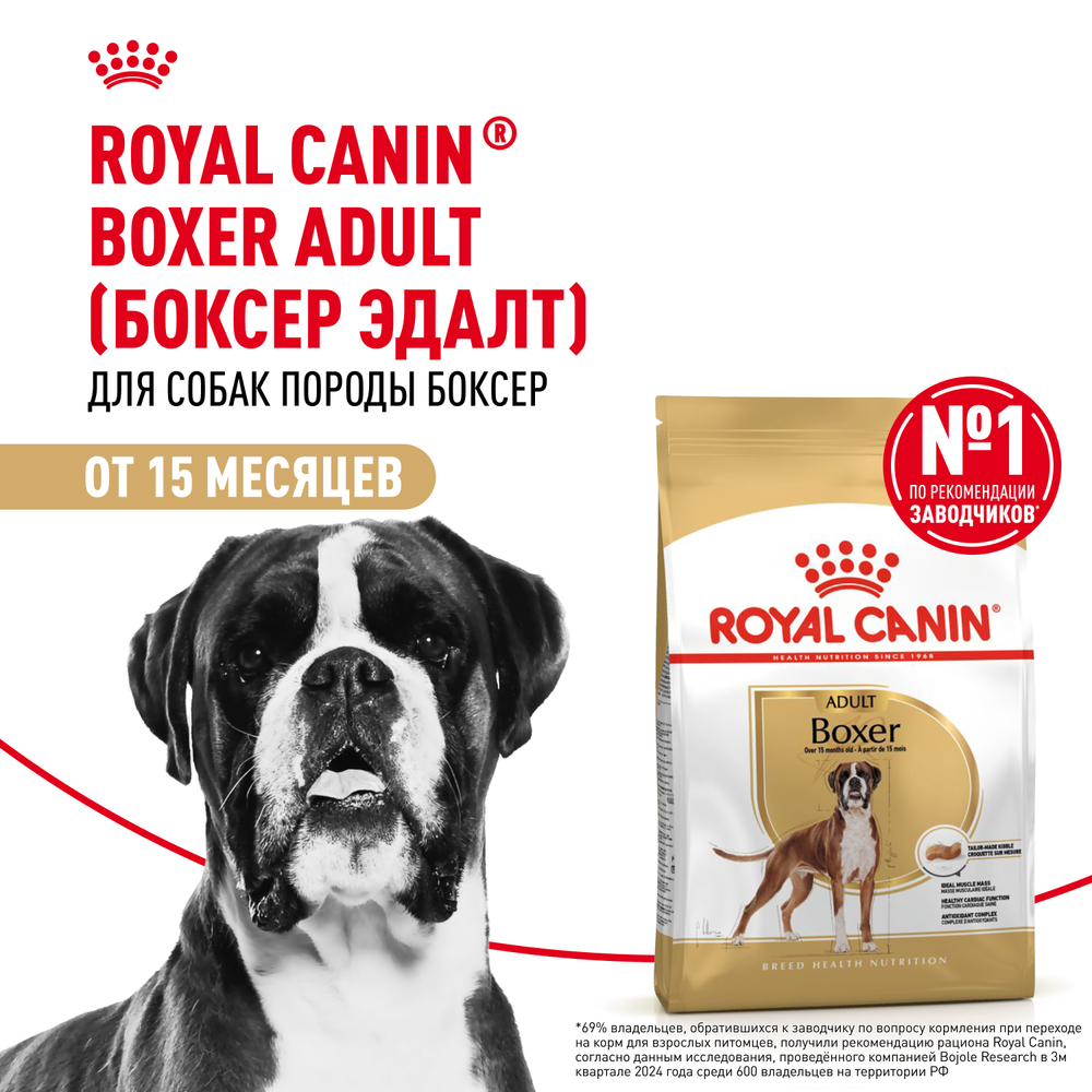 Royal Canin Boxer Adult (БОКСЕР ЭДАЛТ) Корм сухой для взрослых и стареющих собак породы боксер от 15 месяцев 12 кг