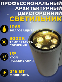 Уличный 2х-лучевой фасадный архитектурный светильник 12W