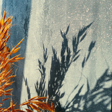 Декоративные краски и штукатурки