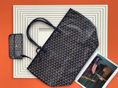 Goyard Anjou GM