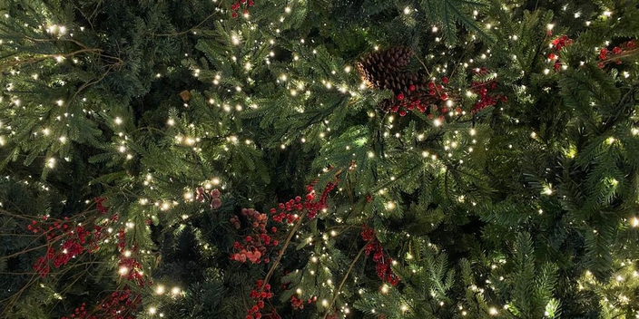 НАША МИССИЯ