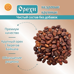 Орешки кедровые Байкал.