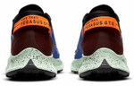 Кроссовки Nike Pegasus Trail 2 Zoom Gore-Tex