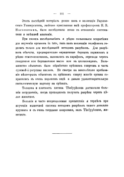 Анатомия телифона Thelyphonus caudatus (L.) | Тарнани Иван Константинович