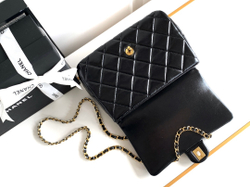 Chanel Bag 25 cm