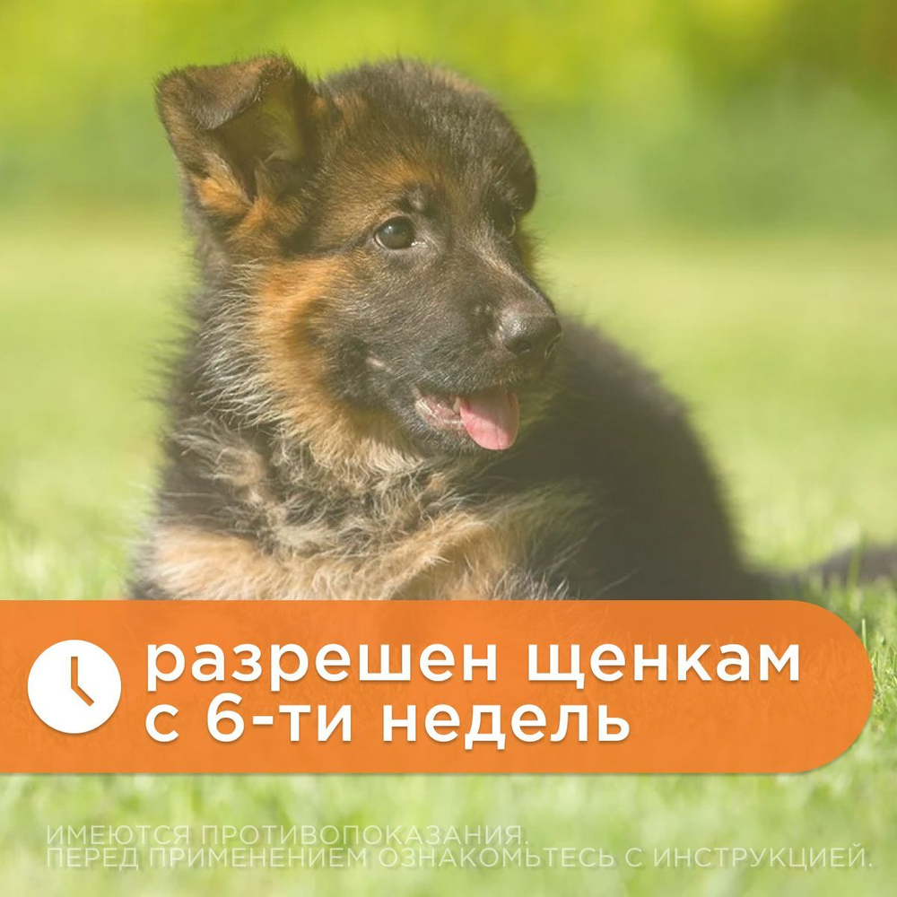 Капли на холку для собак 10,1-20кг против подкожных и ушных клещей, блох, вшей и власоедов, дирофиляриоза Zoetis Стронгхолд 3пипетки, Селамектин 12%