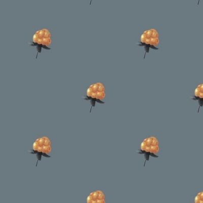 Ягоды на сером фоне