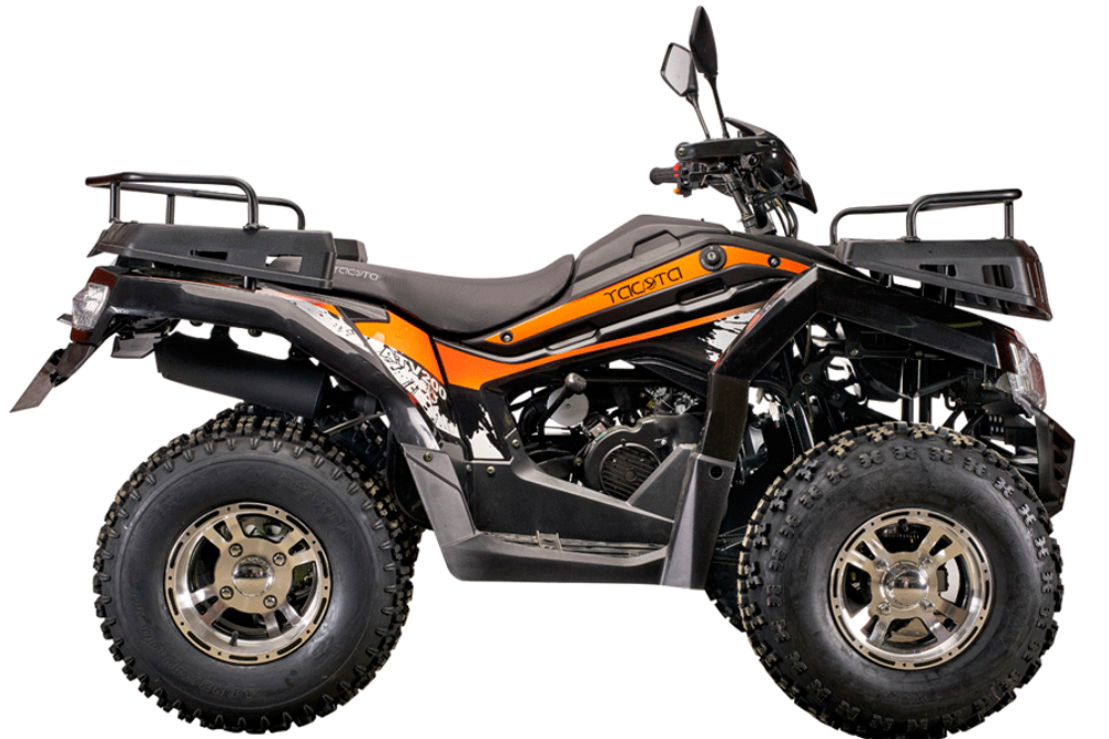 Yacota CABO 200LD 10" 2WD утилитарный заднеприводный квадроцикл 200 куб/см на литых дисках