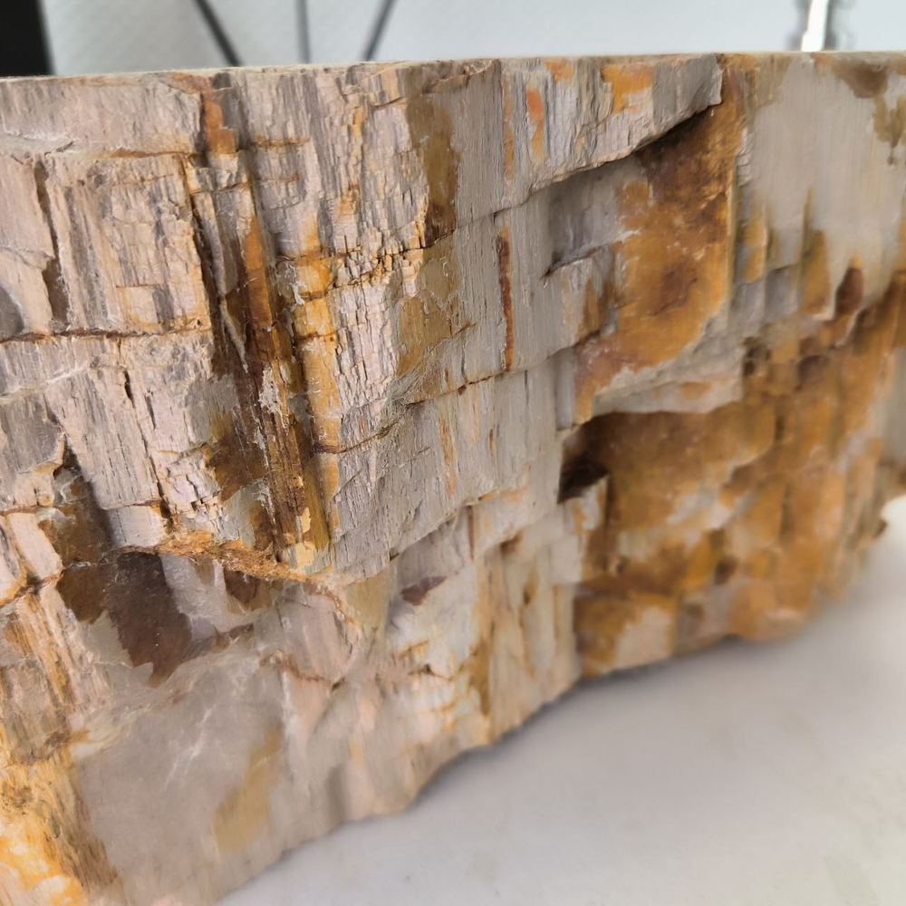 Раковина из окаменелого дерева Fossil Basin  53*39*15 см OD-02366