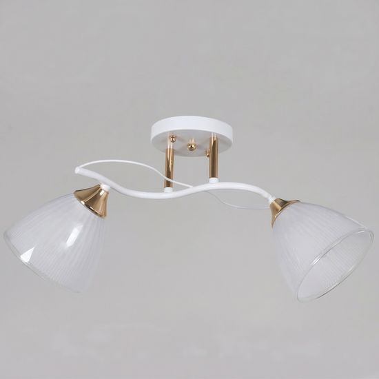 64460-0.3-02 WH+FG светильник потолочный