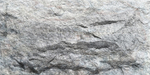 Crossard Stone Mushroom