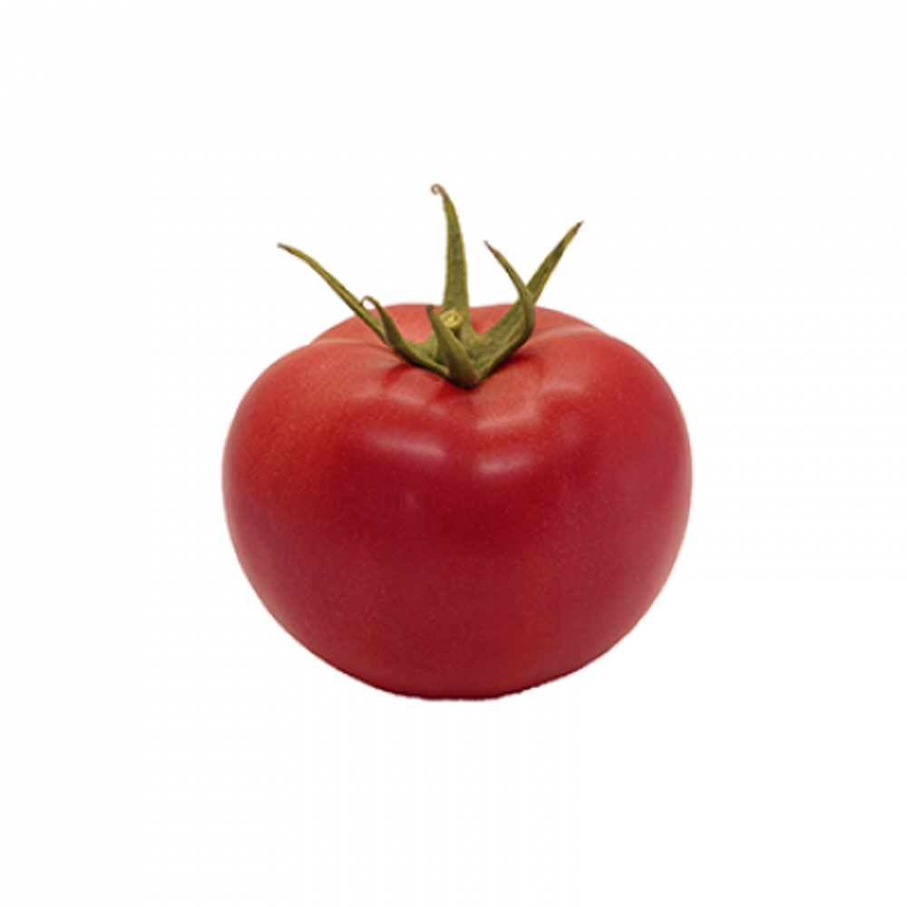 Томат Мануза F1 5шт ВитаГрин ЭКСТРА