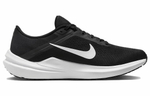 Кроссовки Nike Air Winflo 10