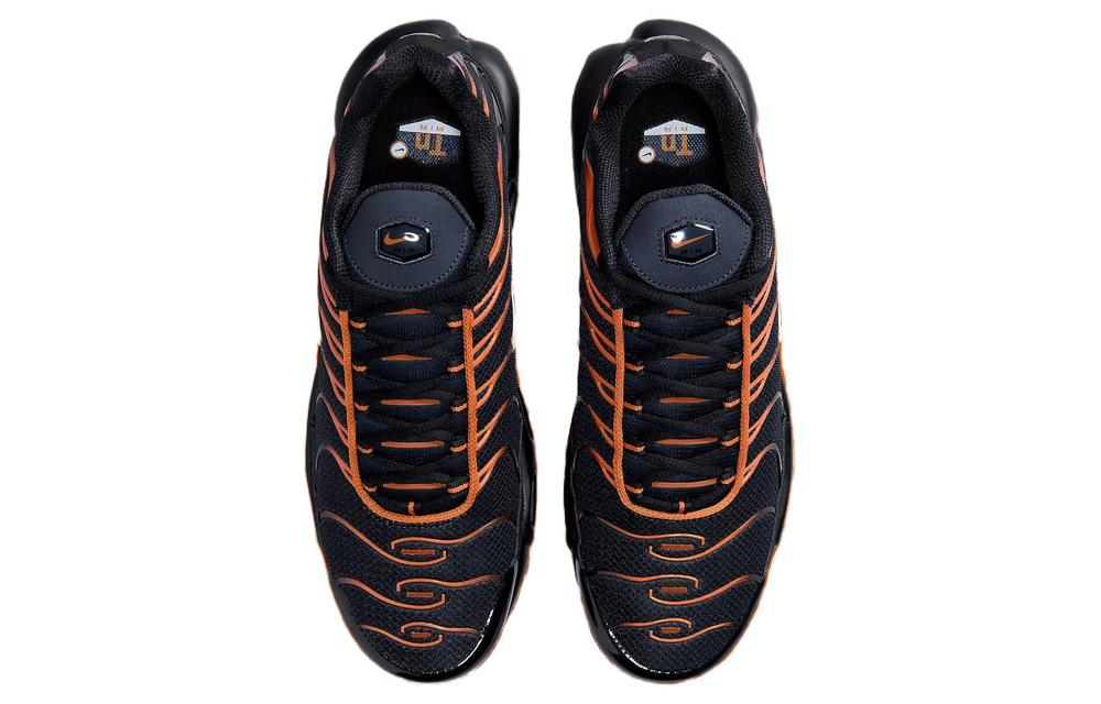 Nike Air Max Plus