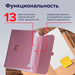 Папка-портфель пласт. BRAUBERG А4 (327х254х30мм), 13 отделений, розовый, 221441