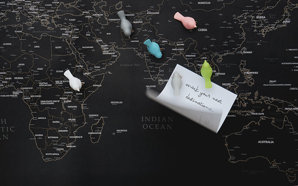 Магниты на холодильник Mini Sparrow, 6 шт. Qualy