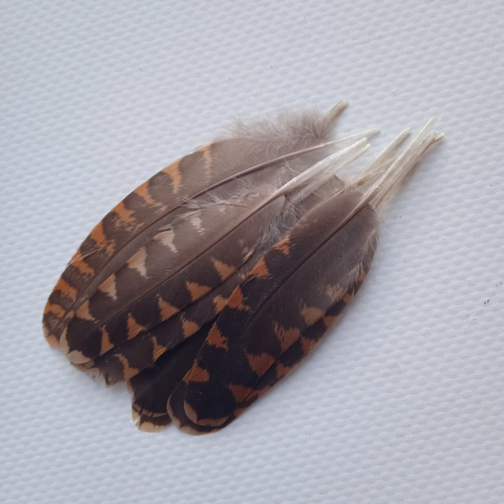 Перья вальдшнепа 4-7 см. 10 шт.