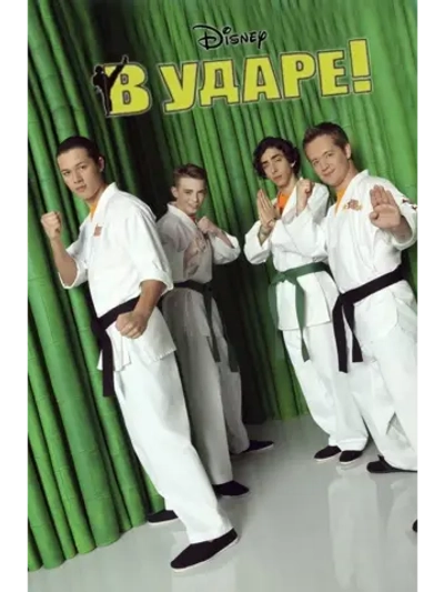 В ударе!, сезон 2 (DVD-R)